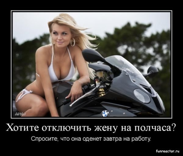 picture_226252596