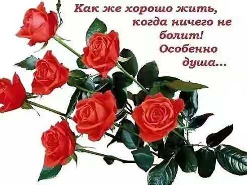 getImage(595)