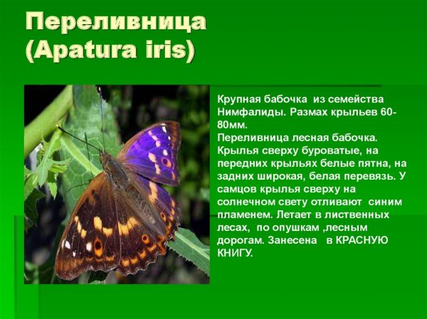 Переливница