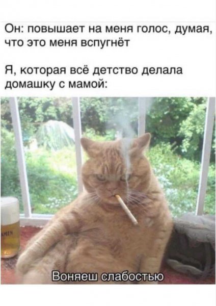 Не на ту нарвался )