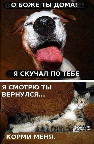 Где-то так... )))