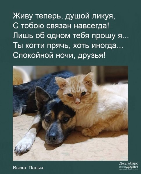 Спокойной ночи, друзья!