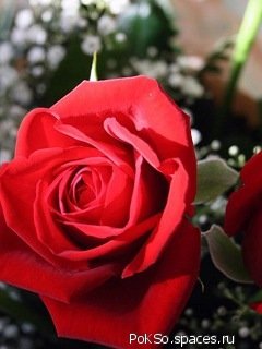 picture_180069047