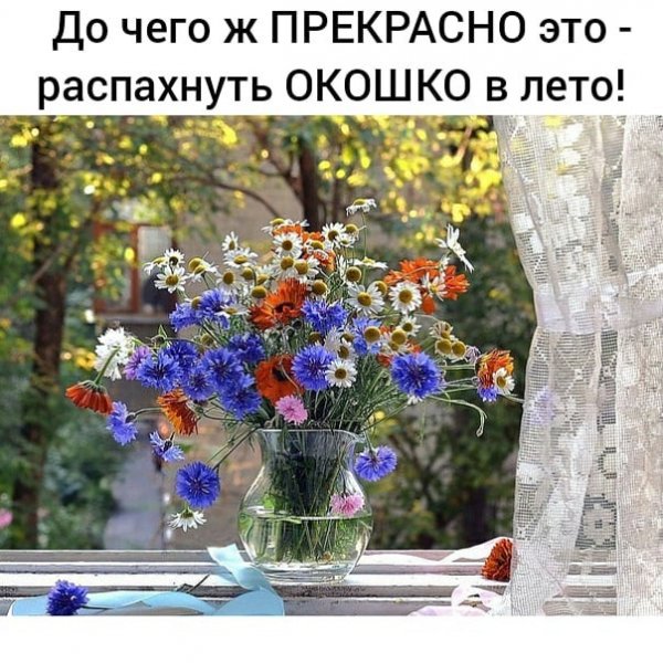 moi mir pozitiva 20200628 3