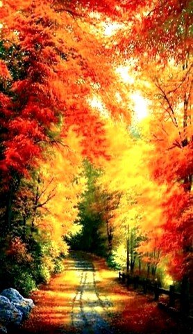 image (3) - 2020-09-22T213700.188