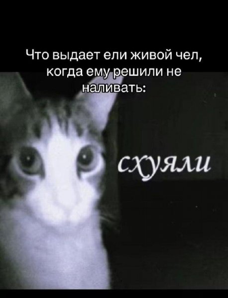 6af2d6e1d9 20561689