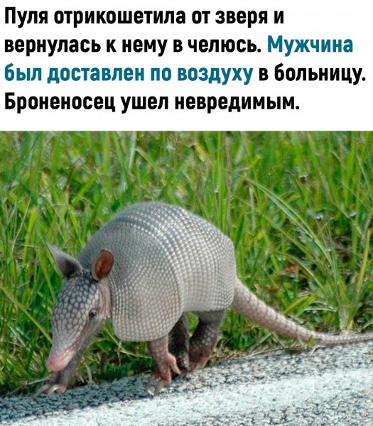 SXOc2lBH3VgoOdqmR7g7muIOmsoS07PFEuS9kpEqoGMYXjkPSUlBDztAxZ