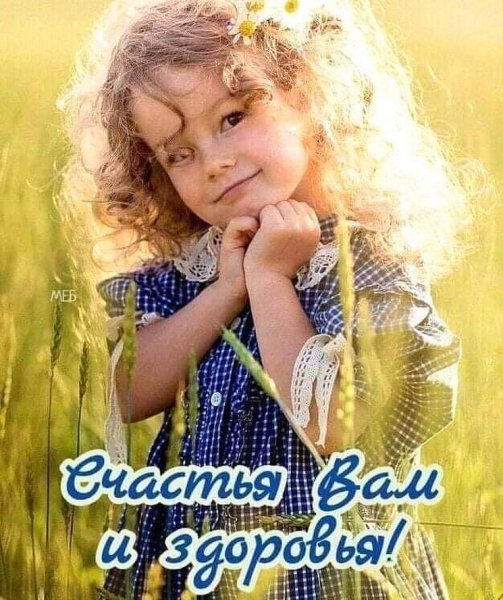 sychevaliubov9385 20200603 14