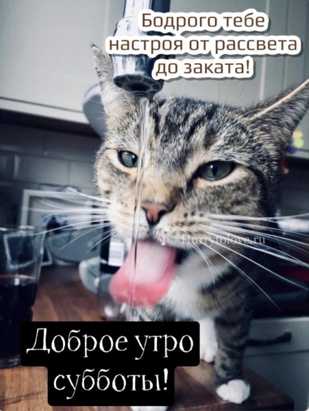 Доброе утро субботы!