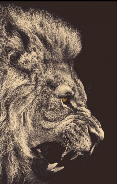 Screenshot 2018-05-03-22-28-31-1