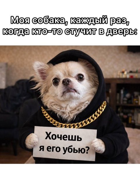 Angrycox b586b12fe443493f86c120a45b2f40d6
