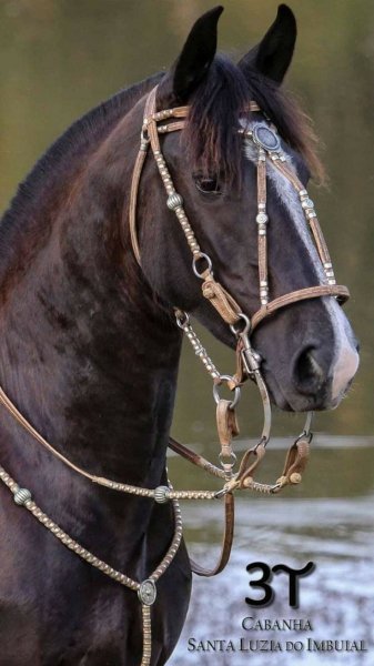 0b24d6f0d7bec067f90b4176f8db0243