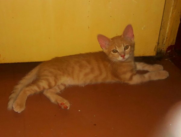 IMG-b805e2194d997b9103d00f2def90d0fd-V-1