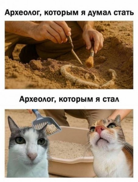1c48a44193 20565046