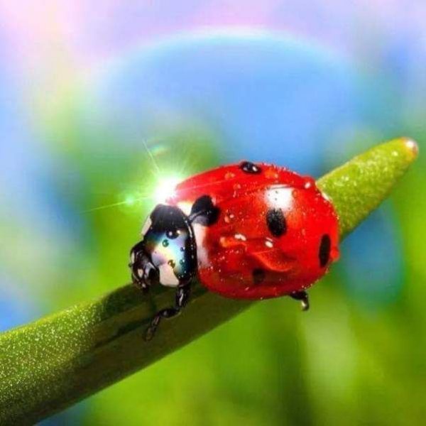 b07c7304da78dca42409bf2a39d14