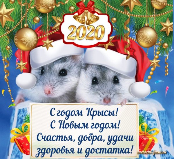 IMG-20200101-WA0004