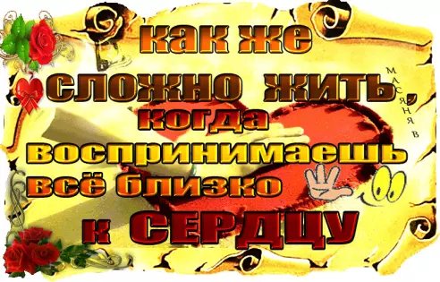image(804)