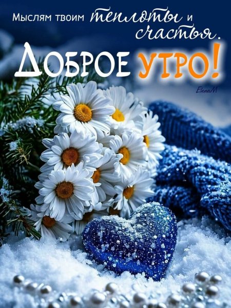 Друг мой!