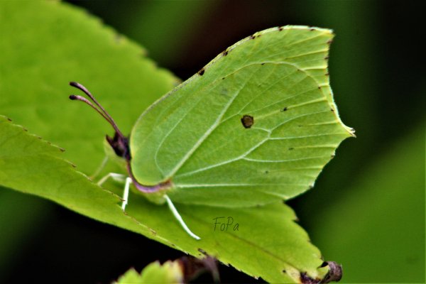 62da8e8738c4a IMG 6263