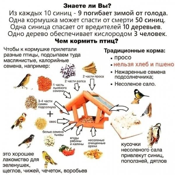 IMG-a0ca1834cb6b24fa4cd26cd76e439709-V