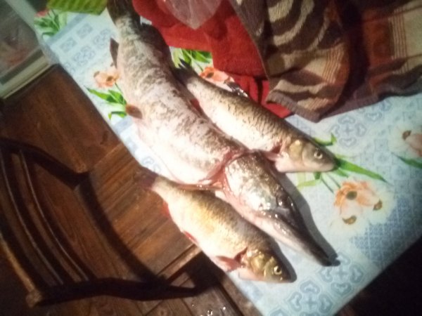 IMG 20220906 211333
