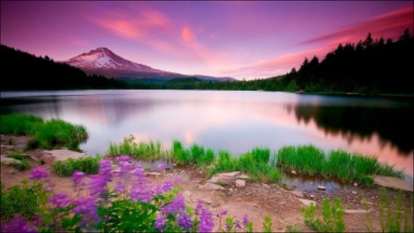 aa056f2a707b7397c287abe01e37e