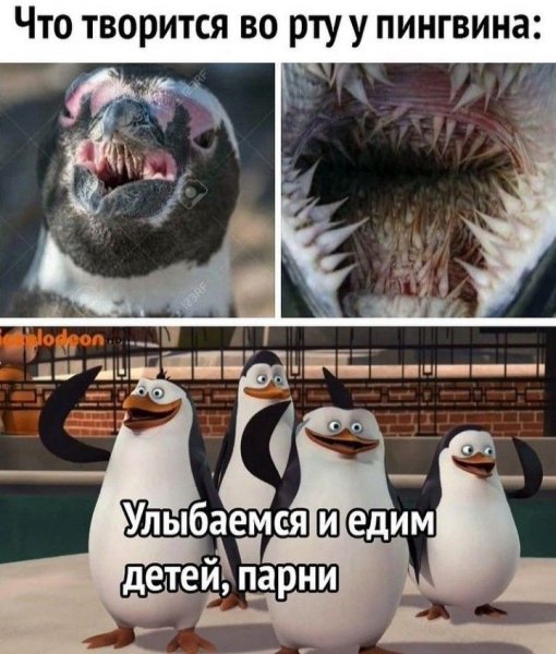 Адская пасть пингвина