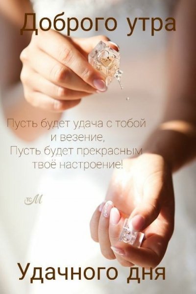 97bc9baadf5fffe5ffc80d3ccf9f8ba5