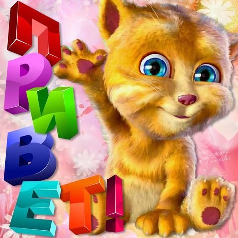 IMG 20170208 143144 270