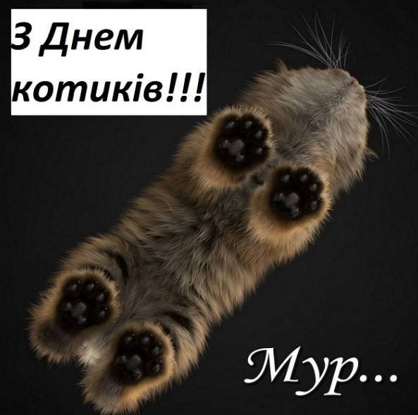 Изображение viber 2024-08-08 08-56-13-356