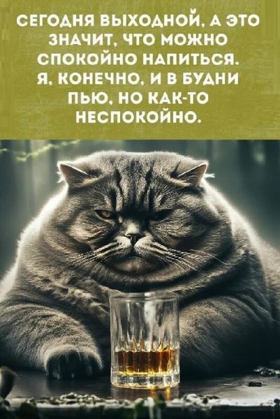 Сегодня выходной...