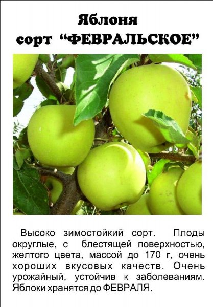 Для нашего сада