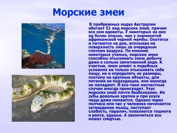 Морские змеи