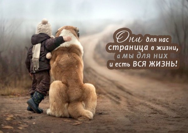 Вся жизнь!