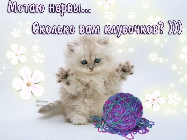 Мотаю нервы