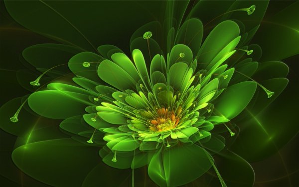 zelenyy cvetok fon krasochnyy svet 67029 1280x800