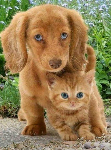 FB IMG 16370656667064443