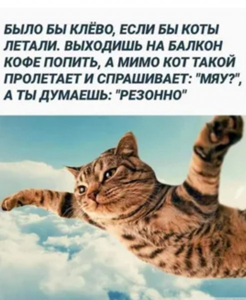 Резонно