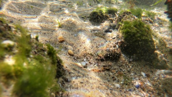 IMG 8304-1510x848