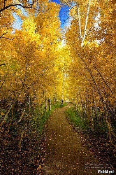 Осень