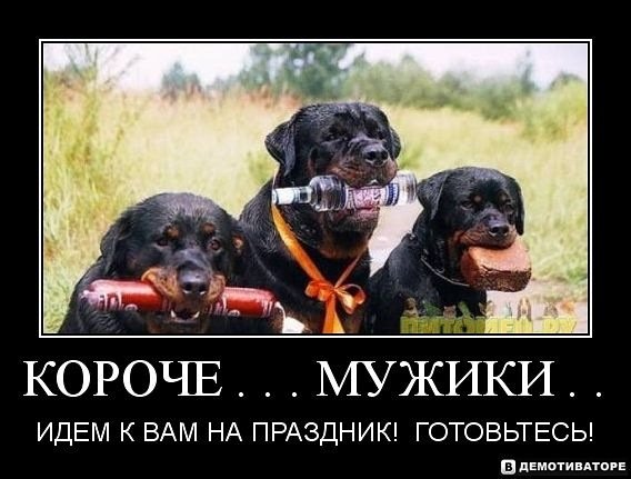 getImage.78745jpeg