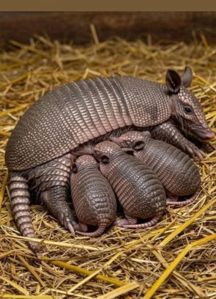 e7cc2e12e4012aad2cbab8507f