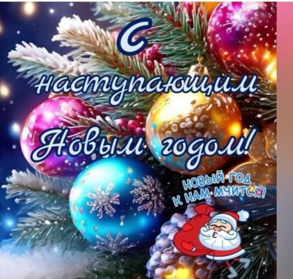 IMG-20231231-WA0009