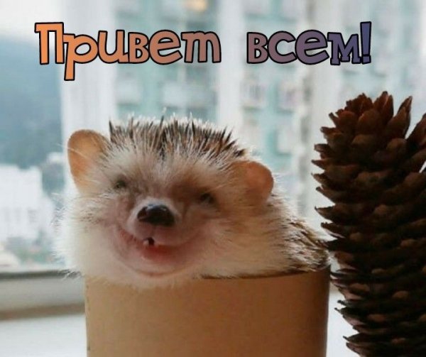 fcb1e891347d5af8f26f0172