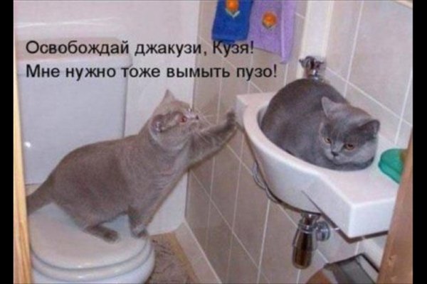 18 image