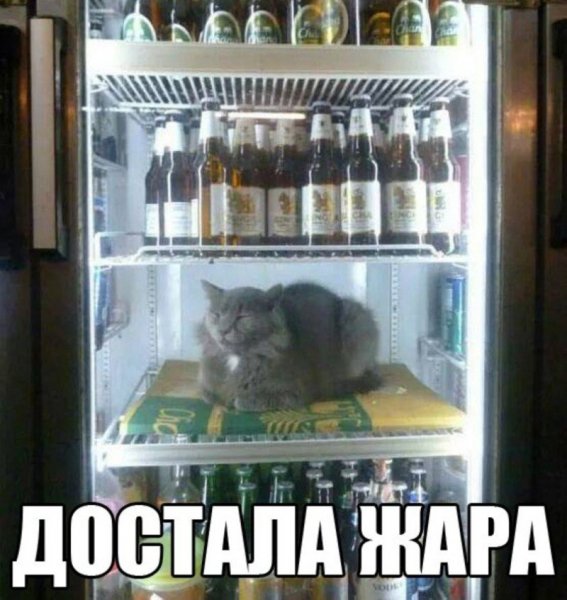 Холодильник