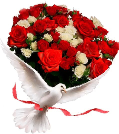 IMG 20200719 154405