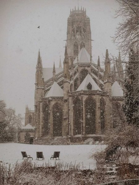 IMG-9d952ff5175989e9d72ddd8b039c8f23-V