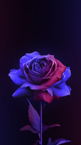 D1E52C89-2AB6-48D7-BC4B-5EC9F5410840