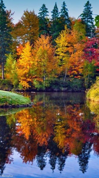d2cca4105079bfbad4926ce449bbcb25--nature-photography-ideas-au